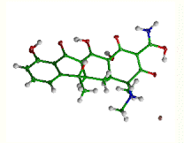 Tetracycline Animation Produced by the Ortex Suite